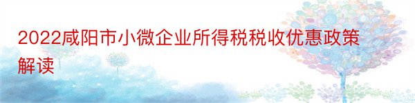 2022咸阳市小微企业所得税税收优惠政策解读
