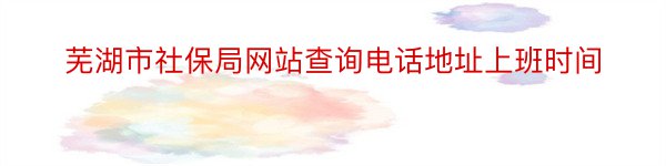 芜湖市社保局网站查询电话地址上班时间