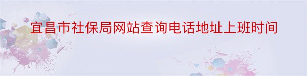 宜昌市社保局网站查询电话地址上班时间